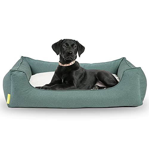 Hyggins Dreamer Perfect Hundebett | Wendekissen orthopädisch | Bezug abnehmbar und...