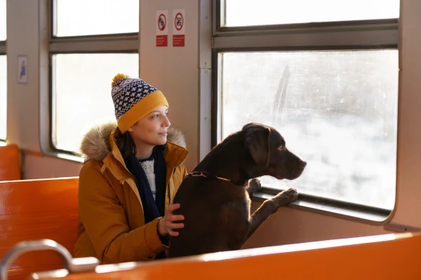 Bahn fahren mit Hund – Erfahrungen mit der Deutschen Bahn