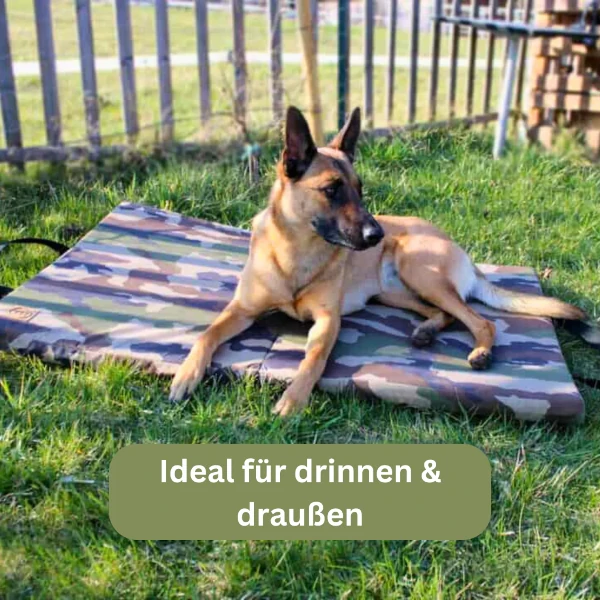 Traumhund® orthopädische Traveller-Matte für Hunde