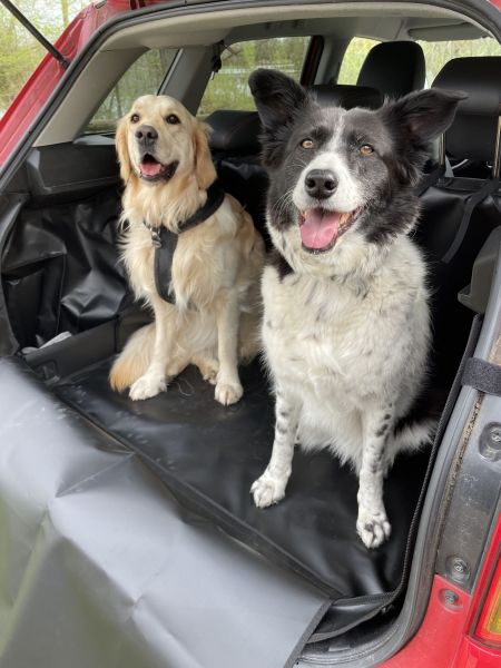 Kofferraumverkleidung Hatchbag Hunde