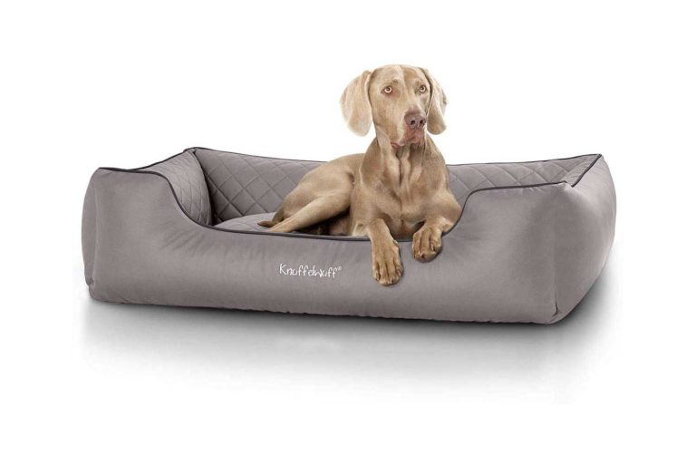 knuffelwuff madison xxxl