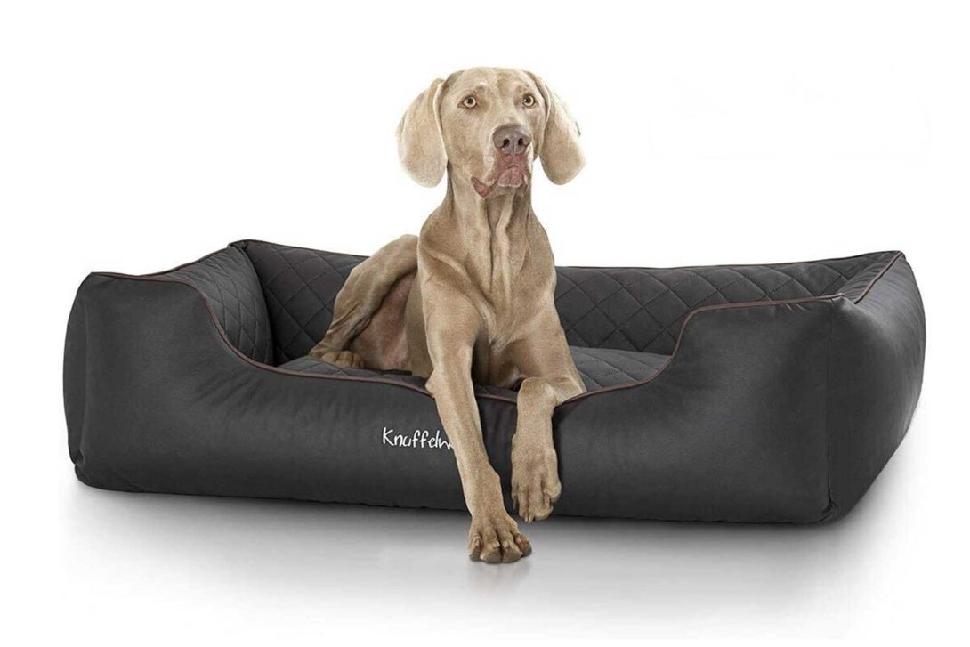 WORLDCOLLECTION Orthopädisches Hundebett – 110 X 90 Cm, Mit Visco-Schaum, Kunstleder-Bezug, Wasserabweisend
