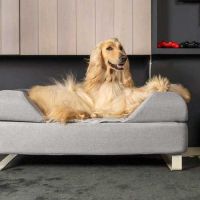 TRIXIE Orthopädisches Hundebett Vital Loki – 100 X 70 Cm, Grau, Mit Memory Foam (für Große Hunde)