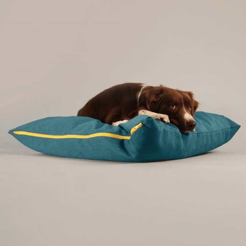 Hundekissen bunt blau
