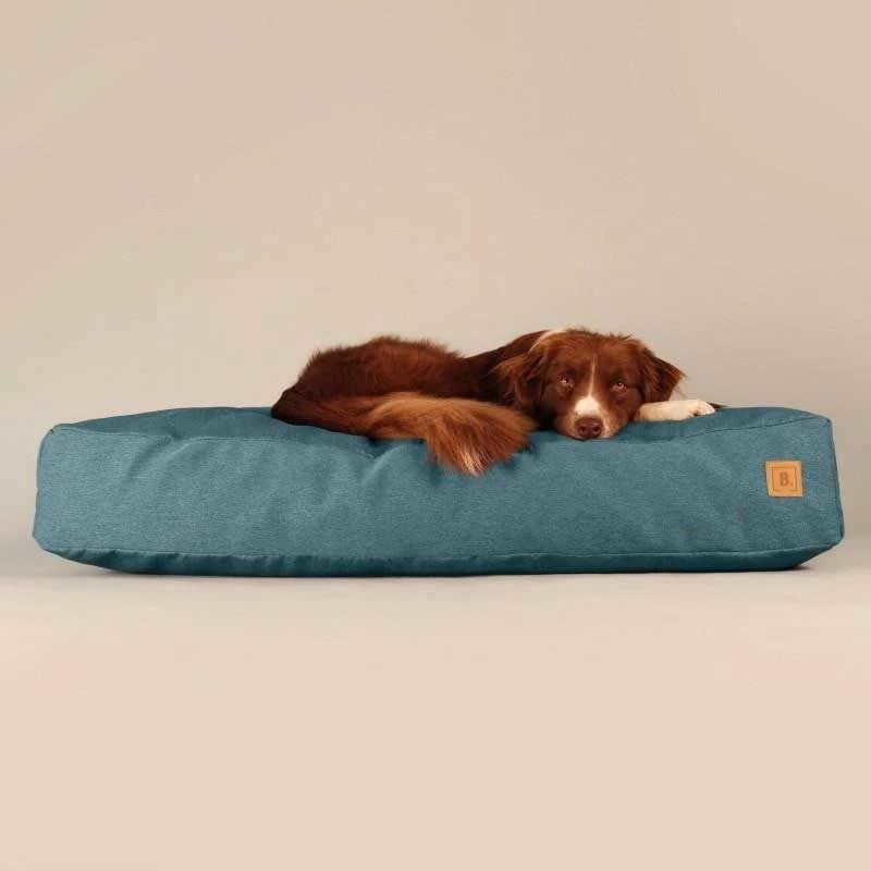 großes Hundekissen blau