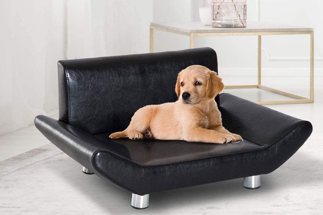 Kunstleder Sofa schwarz kleine Hunde