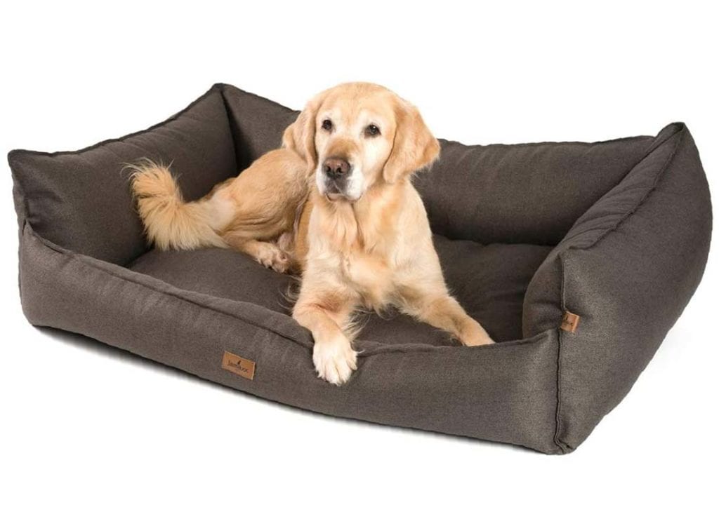 Orthopädische Hundebetten von Jamaxx | Die schönsten Modelle