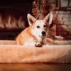 Kuschelbezug Kudde Hundebett Sabro