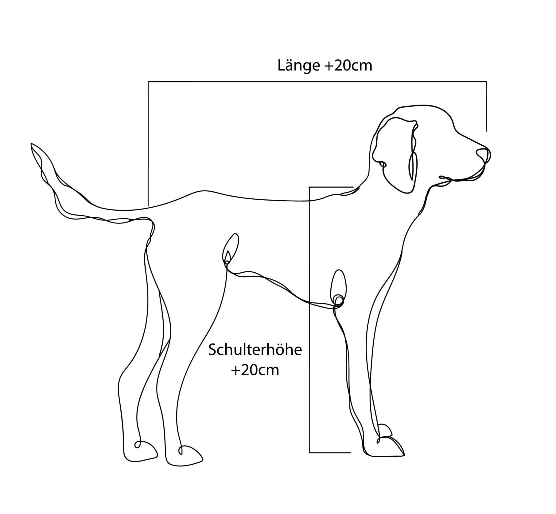 Hund ausmessen für die richtige Größe eines orthopädischen Hundebetts