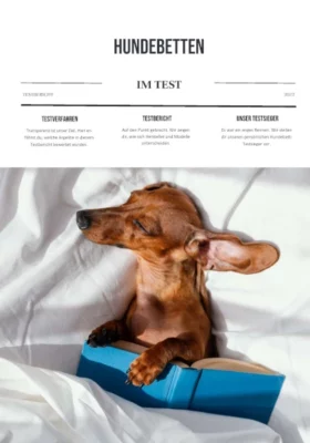 Titelblatt Hundebetten Test Magazin