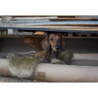 Traumhund orthopädisches Hundebett Jagdlich robust pflegeleicht